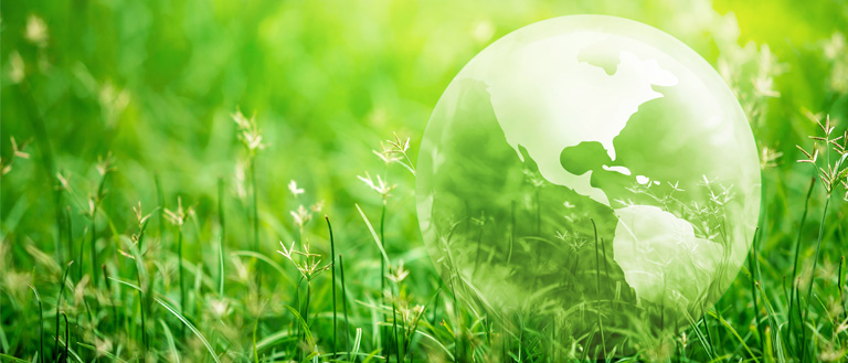 7 Ways Facility Managers Can Celebrate Earth Day